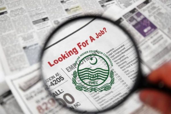 Punjab announces new govt jobs, step-by-step process here