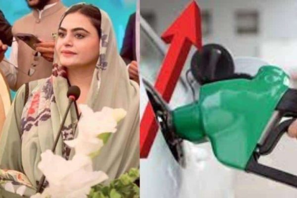‘Hum petrol 110 rupay barha daity tou ap log kia kr laity?’ PML-N’s Sumaila Rana on Tv