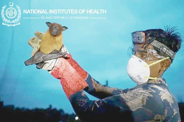 Nipah virus: NIH issues advisory, warns public