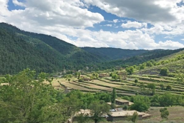 Bara Political Alliance seeks probe of political interference in Tirah
