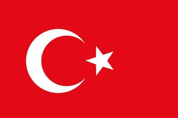 Under-15s face social media ban in Turkiye