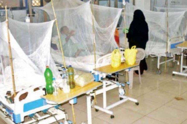 Rawalpindi steps up dengue fight with 1,000 new hires