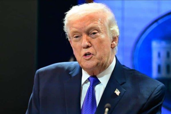 Trump claims Iran navy and air force destroyed with the help of Germany