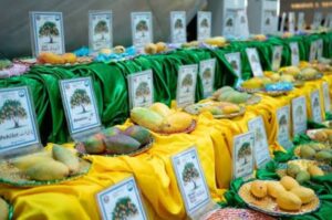 Annual Mango Festival kicks off at Centaurus Mall, showcasing premium mango varieties