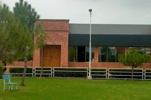 Bisemardan: Full Breakdown of Functions, Services, and Student Support