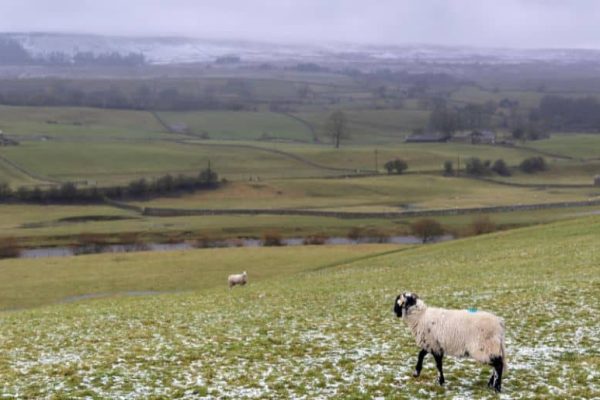 Weather today: NDMA issues alert for rain, snowfall