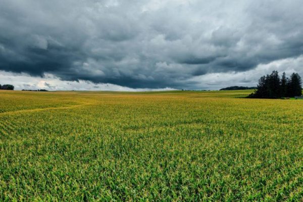 Weather tomorrow: rain, snow, strong winds expected in several areas