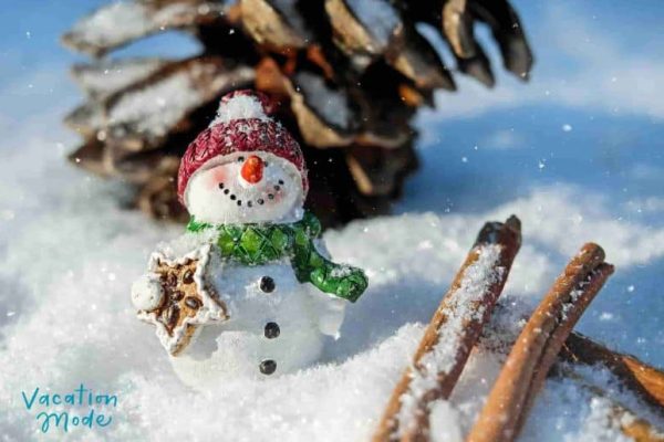 When Will Winter Vacations Start? Government Makes Major Announcement