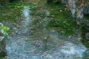 Karachi weather turns pleasant after drizzle in several areas