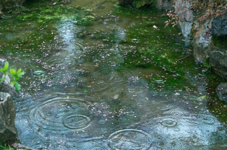 Karachi weather turns pleasant after drizzle in several areas