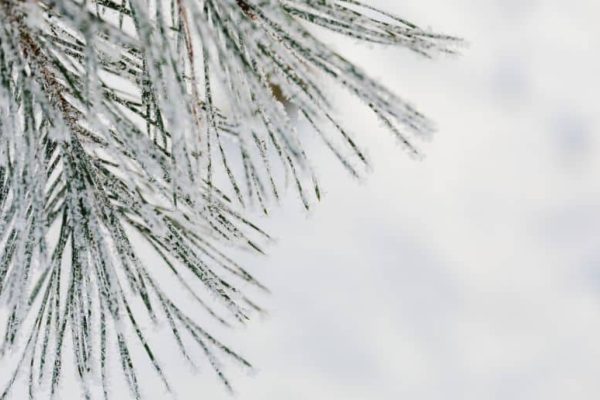 Will it snow in GB, Kashmir and KP today? PMD issues weather alert