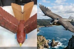 bird-like surveillance drone