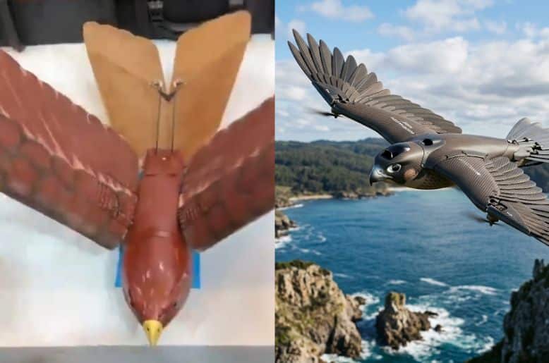 bird-like surveillance drone