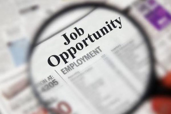 Hundreds of employment opportunities announced