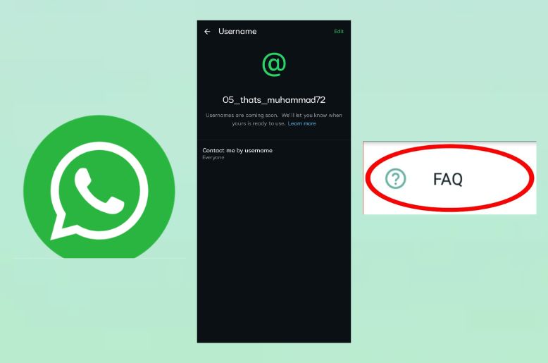 faq whatsapp username, whatsapp username, new feature whatsapp, whatsapp username feature