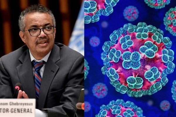 WHO says there is low risk of hantavirus spreading among general public
