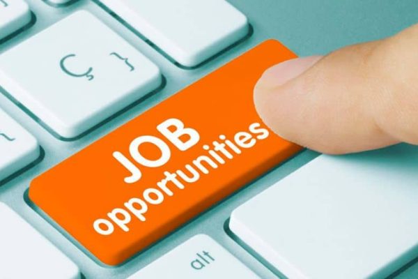 50 plus new vacancies open in Islamabad