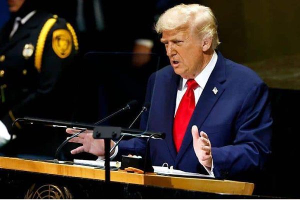 NATO is just a paper lion without US: Trump
