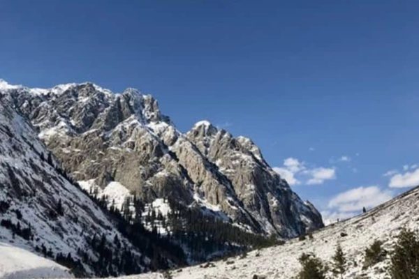 Cold wave likely to intensify in late January: NDMA