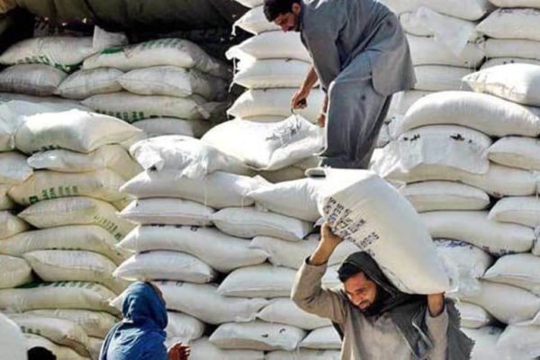 Flour prices hit new record as 20kg bag climbs to Rs2,900