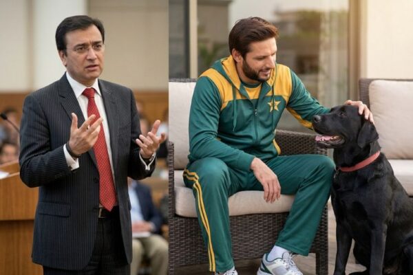 “He never looted public's money”, Shahid Afridi says his dog Max better than Moeed Pirzada