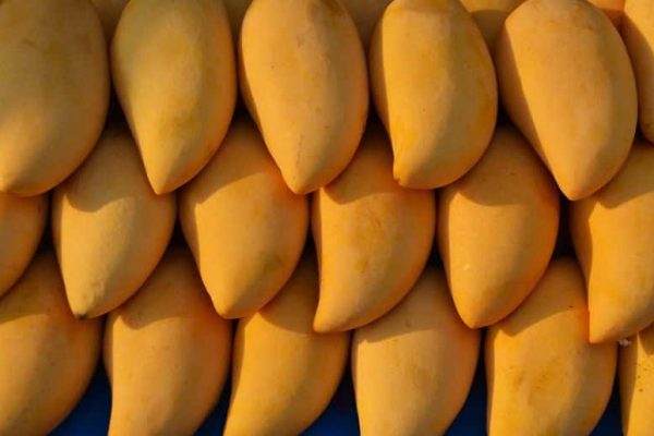 After Japan, Nepal also imposes ban on Indian mangoes