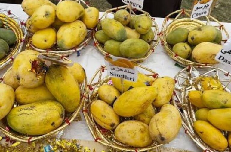 Pakistan’s finest mangoes featured at Singapore festival