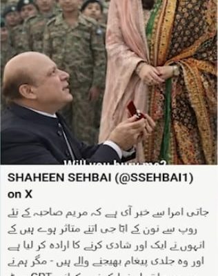 Journalist Shaheen Sehbai apologises over AI generated image of Nawaz Sharif