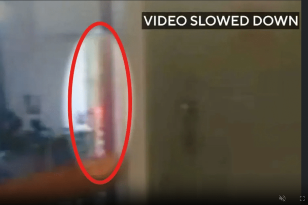 Dead or Alive? FBI releases Jeffery Epstein’s killer footage