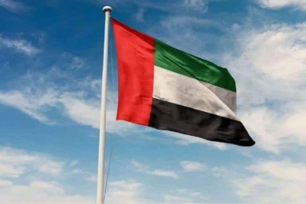 How to check UAE visa status online, details here