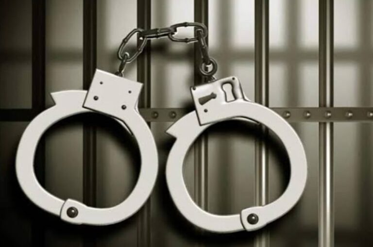 FIA, NCCIA launch joint crackdown, arrest 258 Chinese nationals