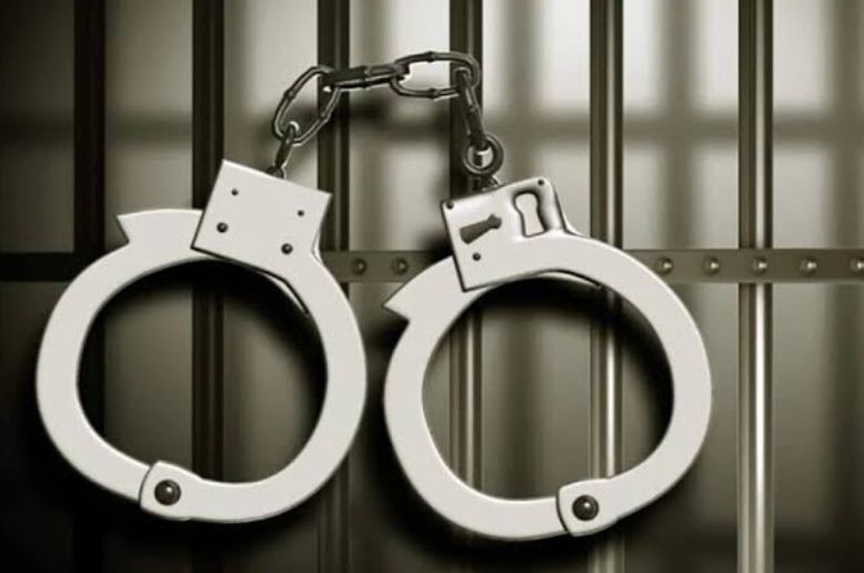 FIA, NCCIA launch joint crackdown, arrest 258 Chinese nationals