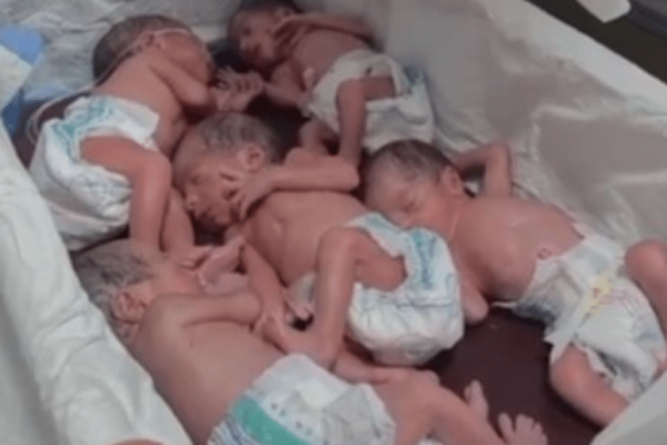 Women gives birth to quintuplets in private hospital at Quetta
