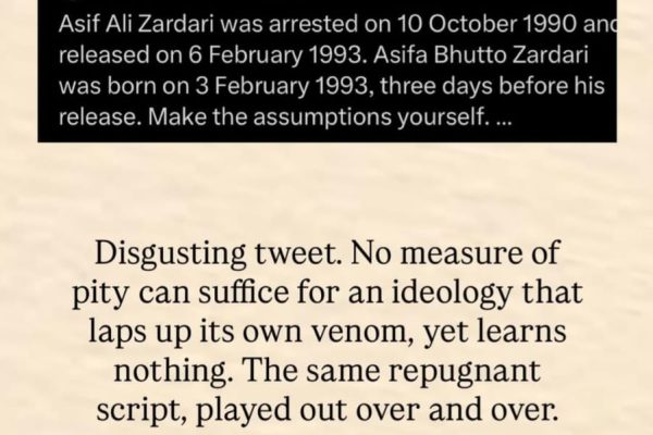 Maryam Nawaz’s son, Junaid Safdar comes out in support of President Asif Ali Zardari