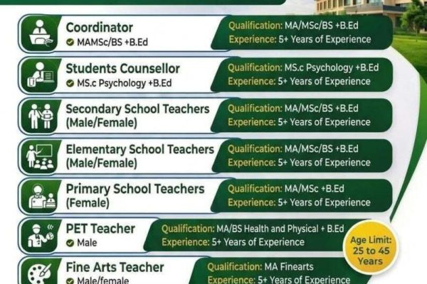Nawaz Sharif School of Eminence announces multiple job vacancies in Kallur Kot