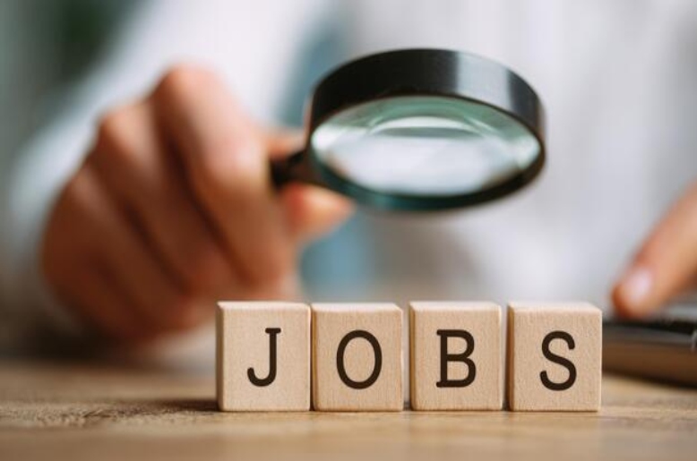 Pakistanis can now find international jobs through online portal