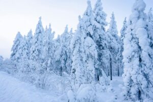 First snowfall turns upper Swat and Babusar Top white
