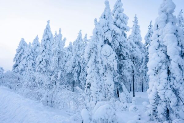First snowfall turns upper Swat and Babusar Top white