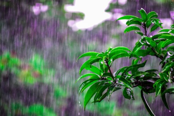 Karachi may receive heavy rain on September 14 and 15