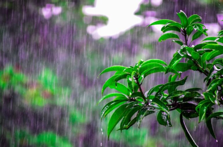 Karachi may receive heavy rain on September 14 and 15