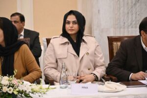 PML-N MNA Shumaila Rana says her Rs520,000 salary is not enough