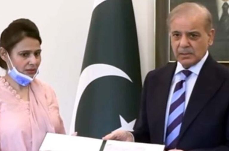 PM Shehbaz praises nurse Razia Noreen for brave effort to save newborn