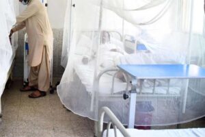 Six dengue cases reported in Rawalpindi