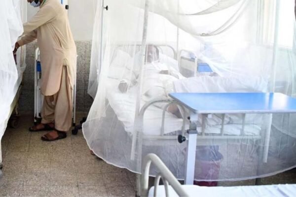 Six dengue cases reported in Rawalpindi