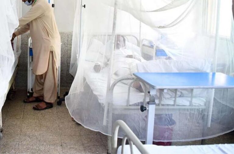 Six dengue cases reported in Rawalpindi