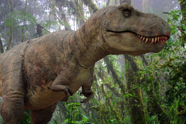 Tyrannosaurus Rex Trackway Found in North Dakota Badlands