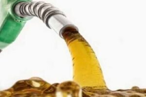 Government considers abolishing petroleum levy for one year