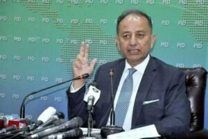 ‘We are giving more subsidy than petroleum levy charges’: Musadik Malik