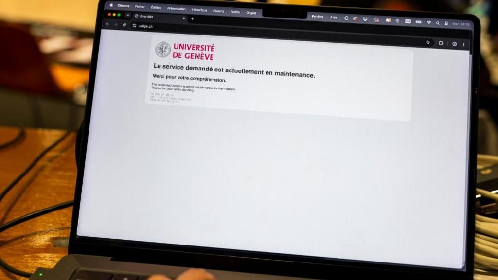 Critical Cyber Flaws trigger Global website shutdowns