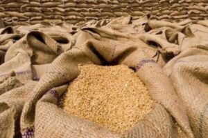 Sindh CM approves subsidised wheat supply from October 15